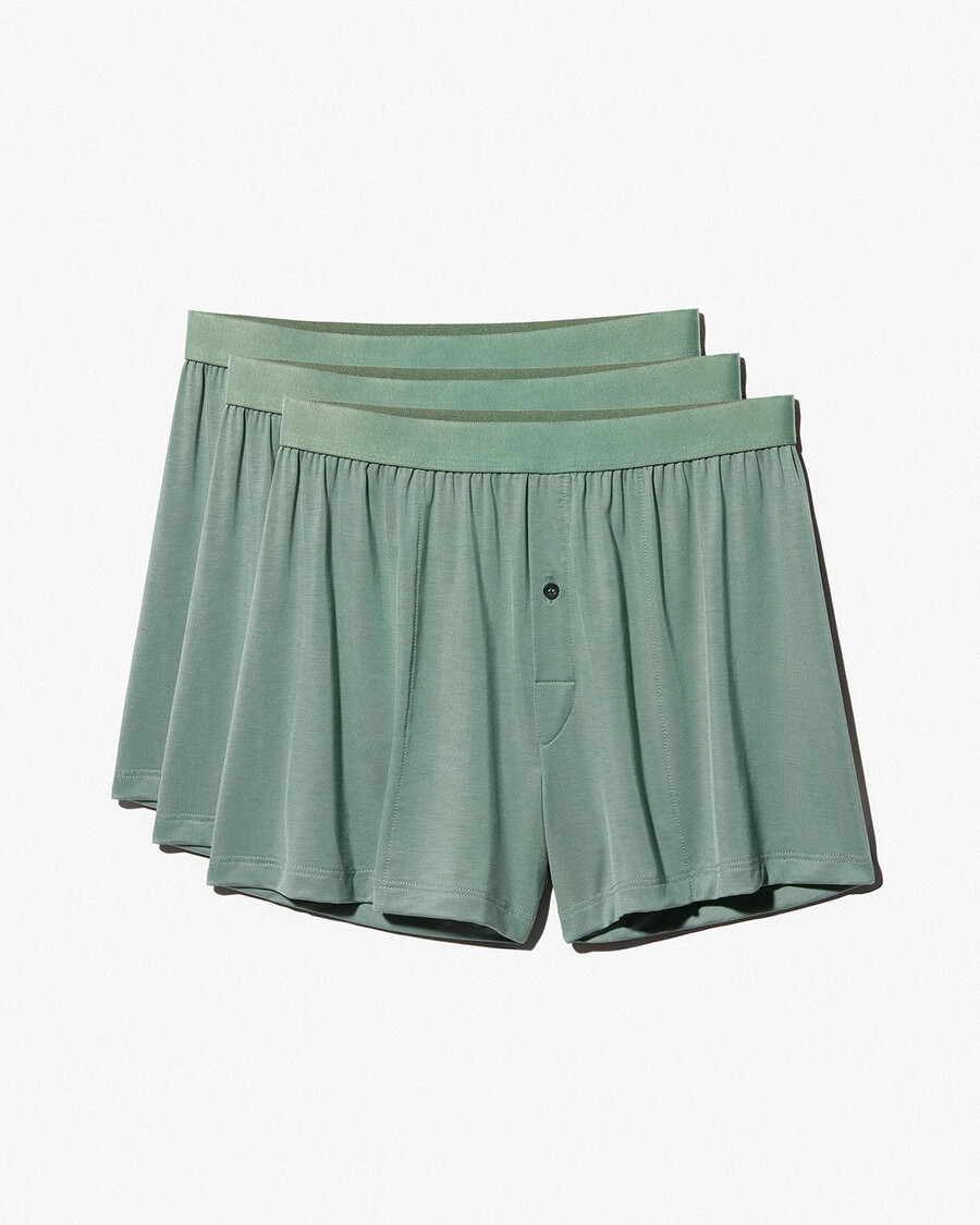 6 herren-boxershorts in salbeigrün jetzt kaufen — cdlp