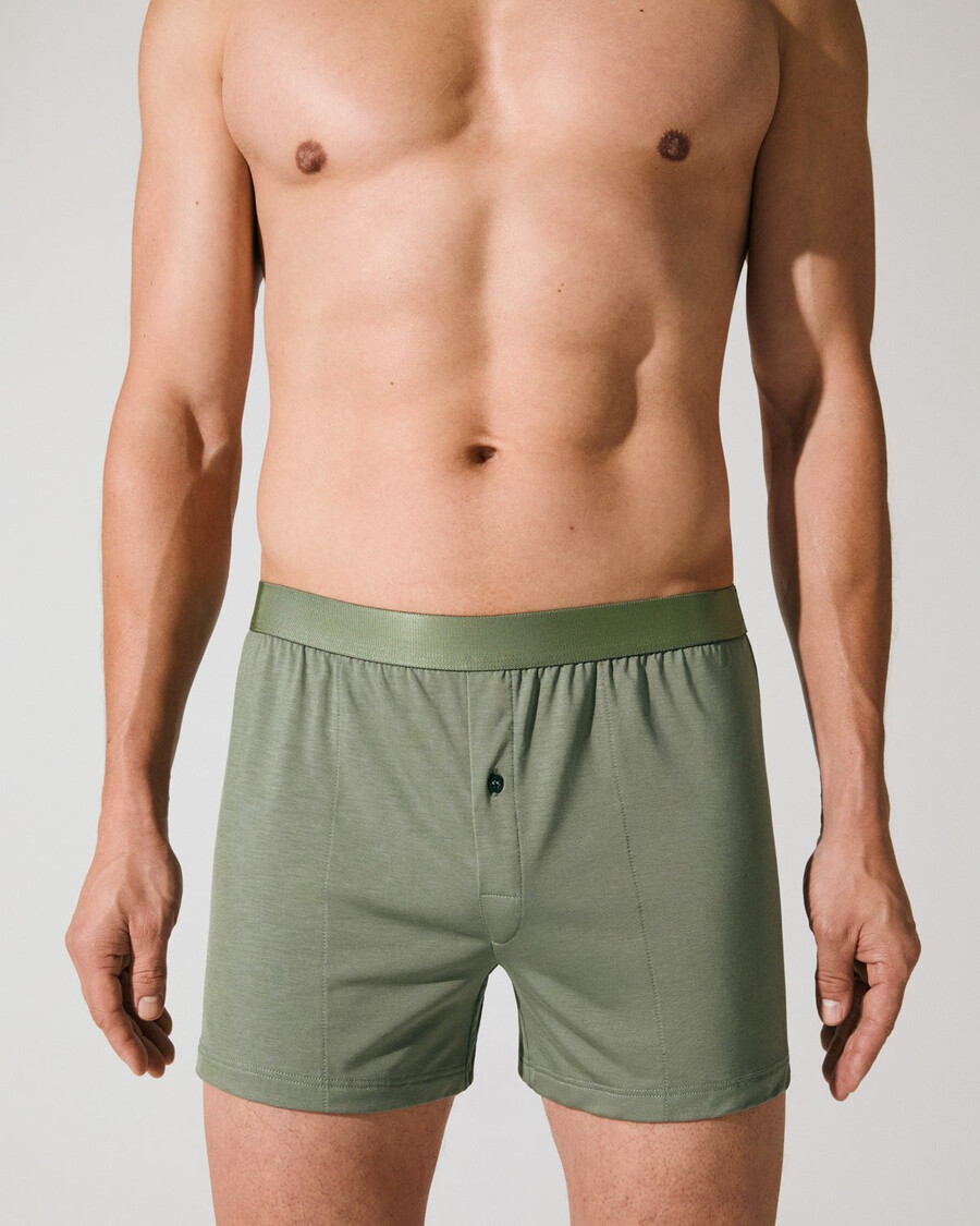 12 herren-boxershorts in salbeigrün jetzt kaufen — cdlp