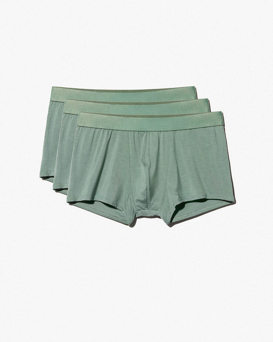 12 × herren-boxershorts in salbeigrün jetzt kaufen — cdlp