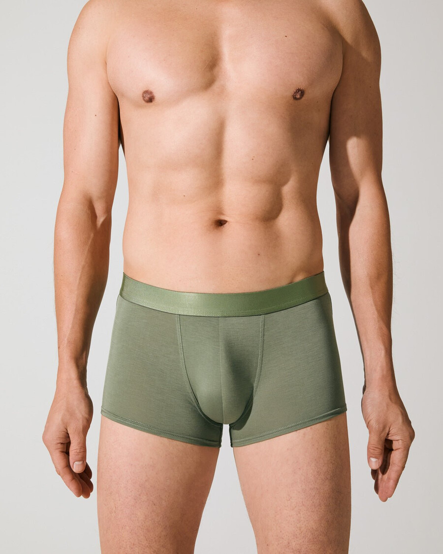 3 × herren-boxershorts in salbeigrün jetzt kaufen — cdlp