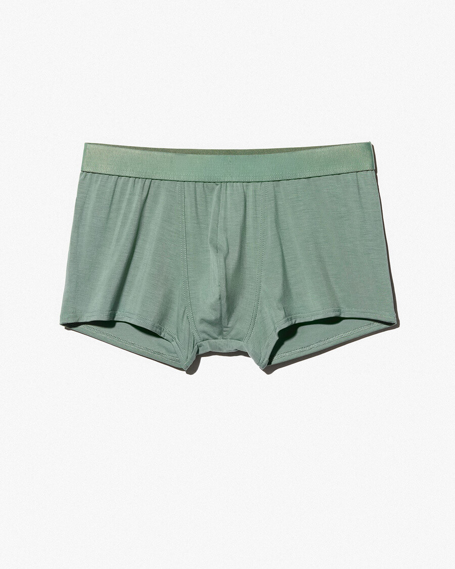 herren-boxershorts in salbeigrün jetzt kaufen — cdlp