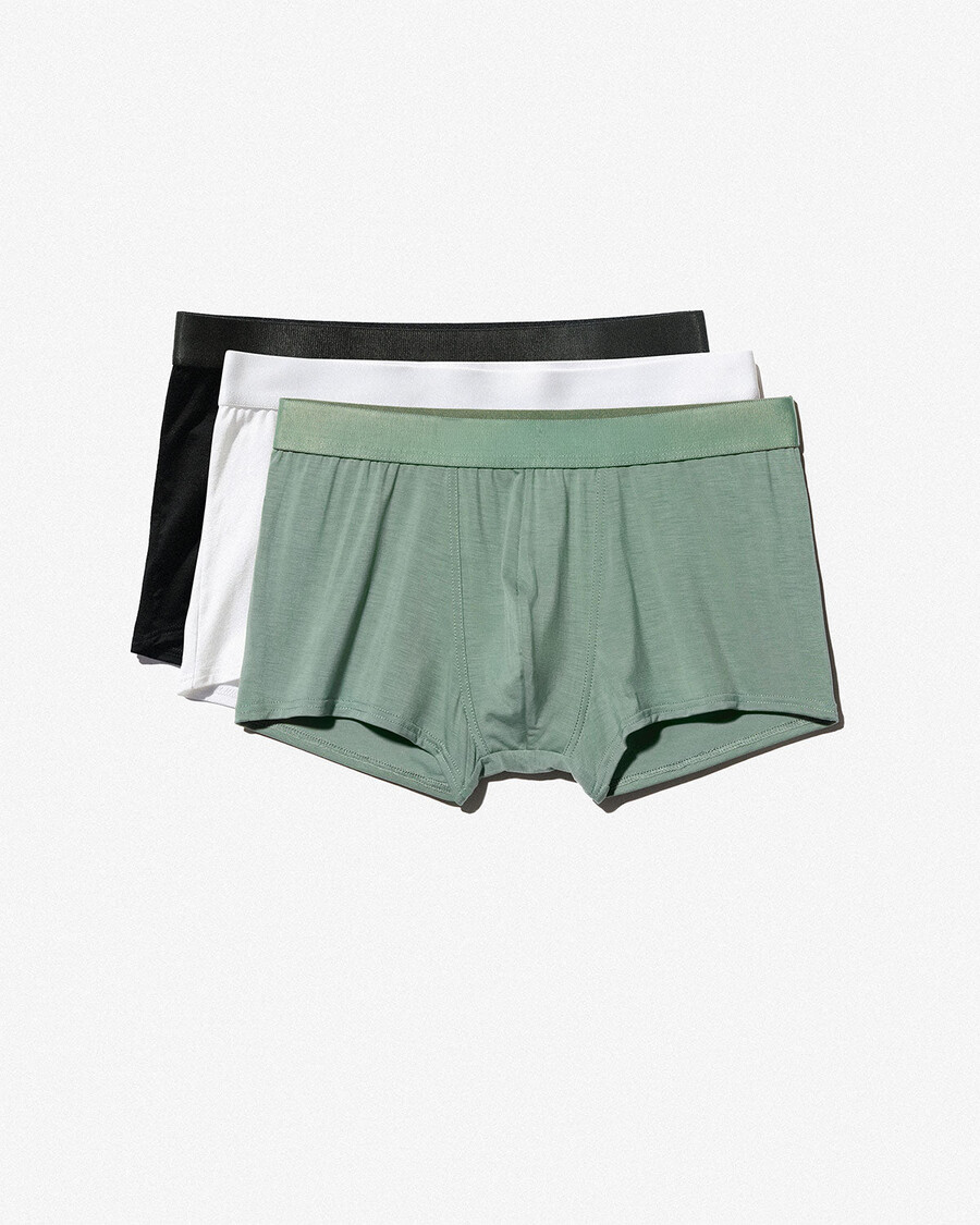 12 herren-boxershorts in schwarz weiß und salbei jetzt kaufen — cdlp