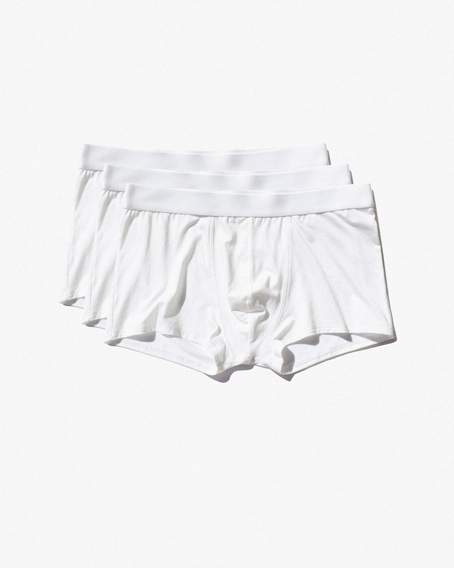 12 × herren-boxershorts in weiß jetzt kaufen — cdlp