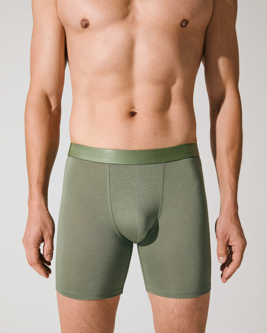 12 x herren-boxershorts lang in salbeigrün jetzt kaufen — cdlp