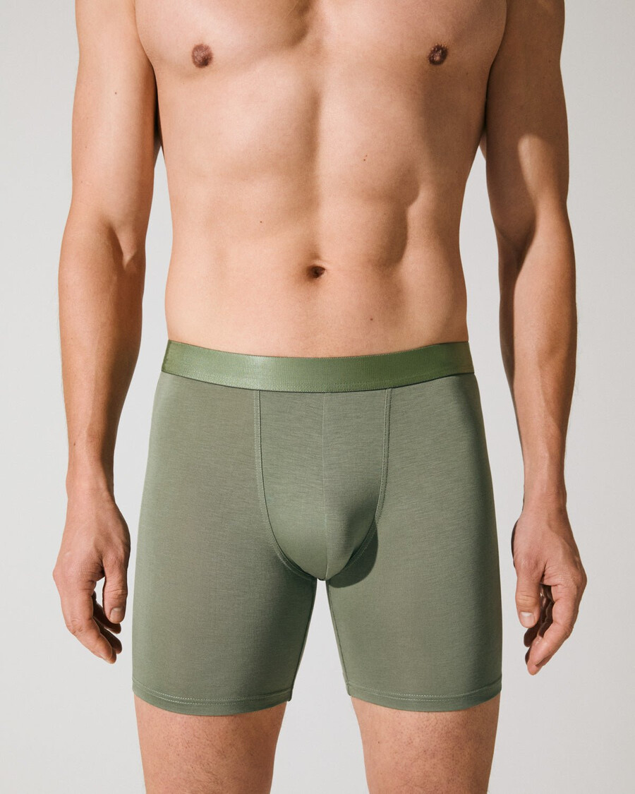 3 x herren-boxershorts lang in salbeigrün jetzt kaufen — cdlp