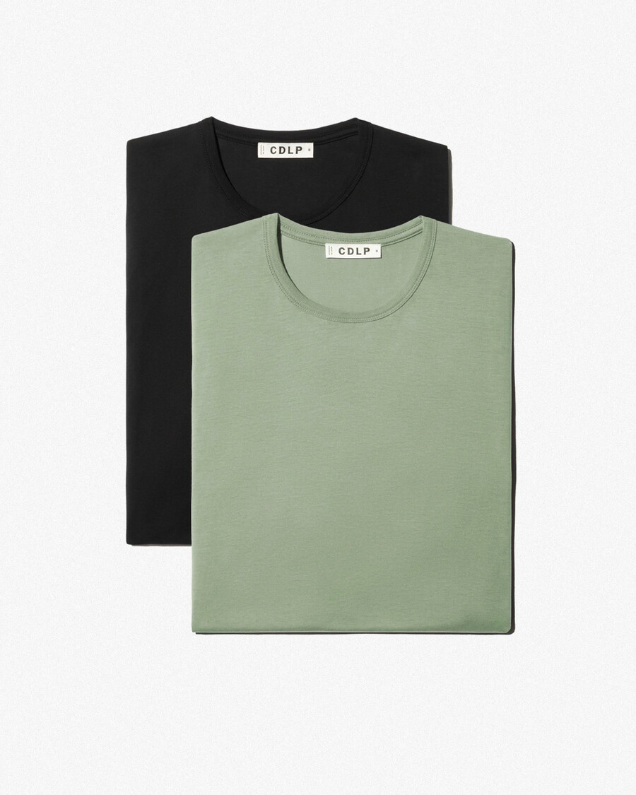 2 x herren-leichtgewicht-t-shirt in schwarz und salbei shop — cdlp