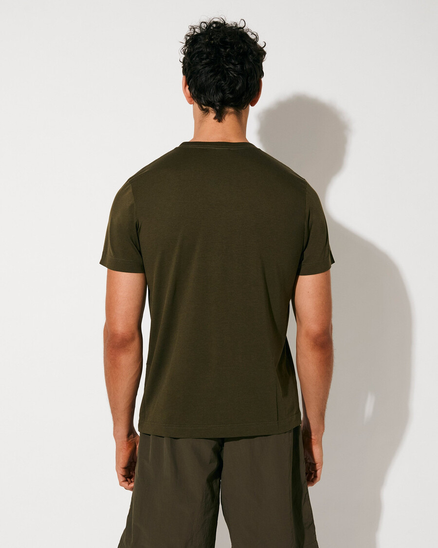 3 x herren-t-shirt mittelschwer in olivgrün jetzt kaufen — cdlp