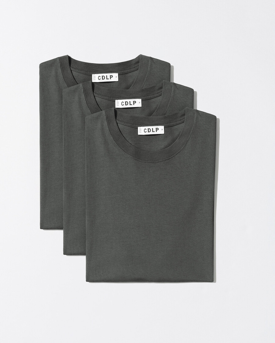 3 x herren-t-shirt mittelschwer in anthrazit jetzt kaufen — cdlp