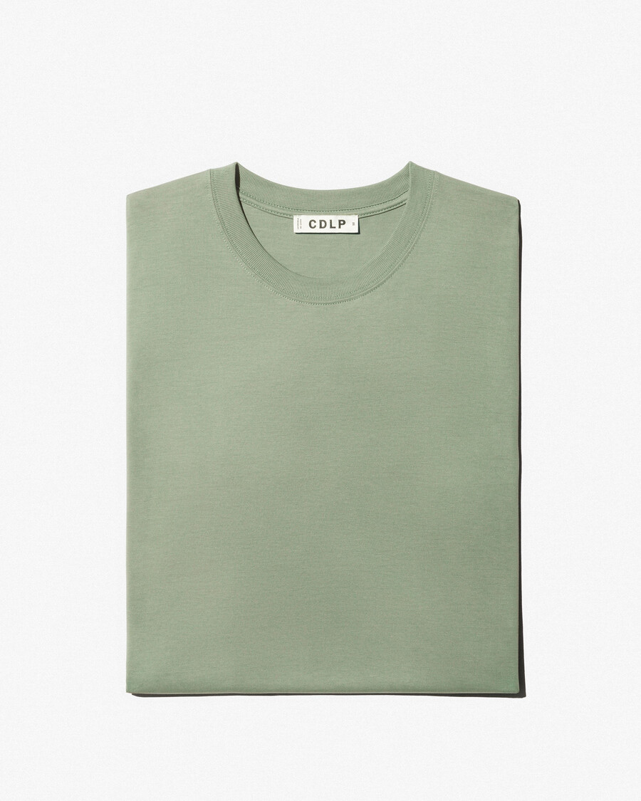 mittelschweres herren-t-shirt in salbeigrün jetzt kaufen — cdlp